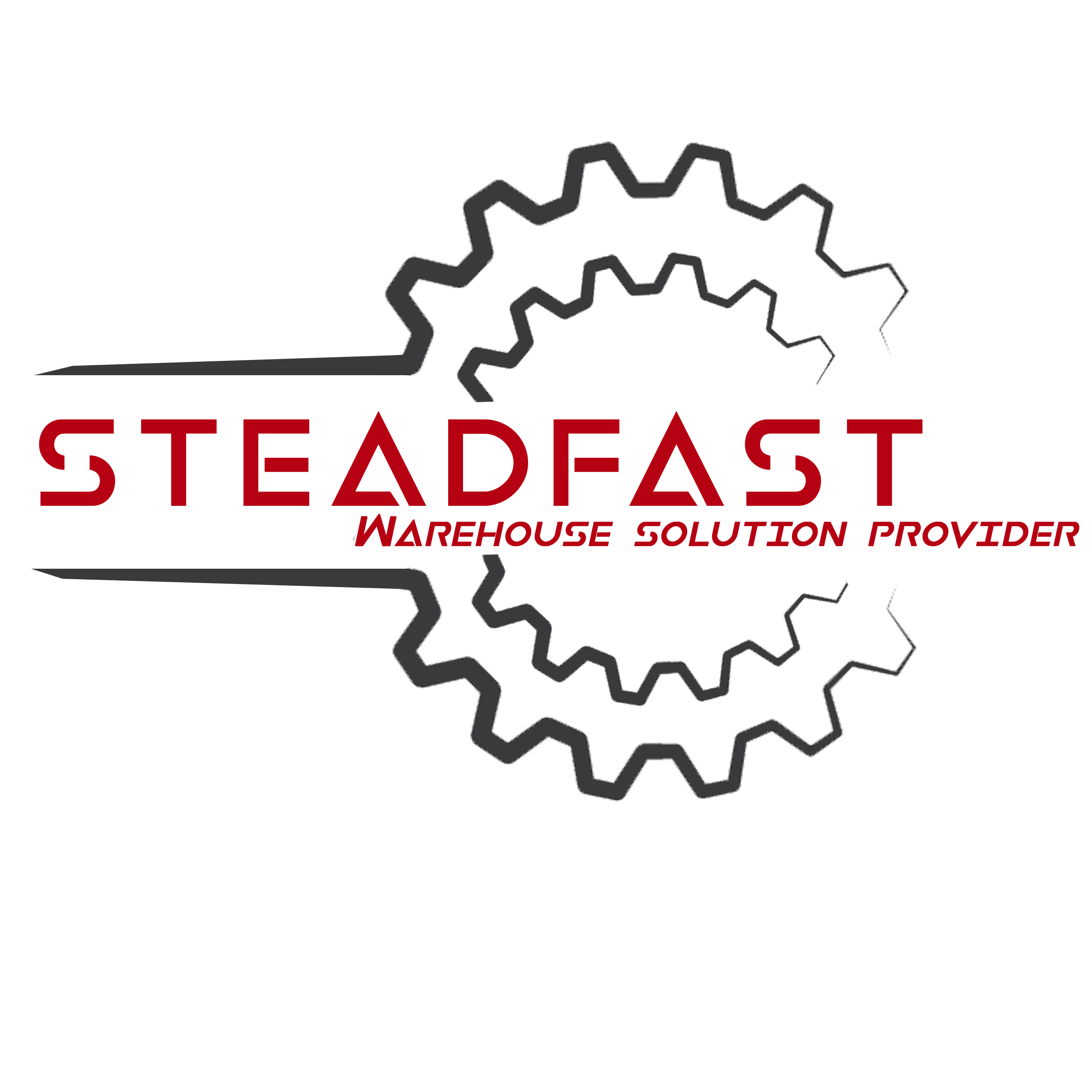Stead-Fast1.1